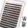 BEFER BEAUTY BEFER Lash Clusters 120 Pcs D Curl Eyelash Clusters Volume Individual Lashes Extensions 1016MM Fluffy Cluster Eyelash Wispy Cluster Lashes DIY At HomeSeraphicFD43