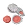 Flower Knows Shells Jewel Collection Silk Satin BlushShimmery Citrus Pink Powder Blush for CheeksBuildable Blendable Face MakeupSoft LongLasting018 Oz01 SunKissed Coral