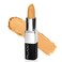 Palladio Treatment Concealer Yellow