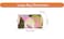 Rastogi Handicrafts Cosmetic Bags Set 3 Piece Make Up Organizer Bag Storage Bags with Zipper Closure 3 Multicolor Design6