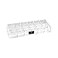 Isaac Jacobs Clear Acrylic 12 Compartment Nail Polish Holder Organizer for Makeup Essential Oils Storage Solution Rack Display 2 Rows x6