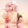 Yves Rocher Comme Une Evidence Eau de Parfum Womens French Perfume Spray 16 FL OZ