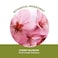 Yves Rocher Cherry Blossom cherry bloom Eau de toilette for Women Spray 100 ml33 floz