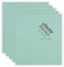 Vileda Professional PVA Microfiber Green All Purpose Cleaning Shammy Shiny Streak Free Results Synthetic Chamois Towel Smooth Absorbent Materials 5 Pack