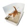 AAiphuwew 3 Pcs Connectable Cat Litter Box Pee Shields High Side Easy Cleaning AntiSplashing Litter Pan Shield Litter Box Not Included Medium