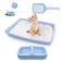 PAWISE Cat Litter Box Set Small Cat Kitten Starter Kit Includes Cats Toilet Kitten Litter Pan with Litter Scoop Double Dish Cat Bowl Kittens Mouse and Ball Toy