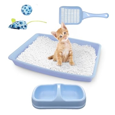PAWISE Cat Litter Box Set Small Cat Kitten Starter Kit Includes Cats Toilet Kitten Litter Pan with Litter Scoop Double Dish Cat Bowl Kittens Mouse and Ball Toy