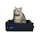 PetLike Travel Cat Litter Box LeakProof Portable Uncovered Collapsible Kitty Litter Pan Lightweight Foldable Toilet Tray for Small Medium Cats Medium Black