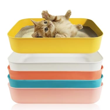GCVOPTON 5PCS Small Litter Box Plastic Kitten Litter Box 139 x 98 x 3 Inch Open Litter Box for Small Pet Easy to Clean 5 Color