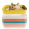GCVOPTON 5PCS Small Litter Box Plastic Kitten Litter Box 139 x 98 x 3 Inch Open Litter Box for Small Pet Easy to Clean 5 Color
