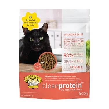 Dr. Elsey's Dr ElseyS Cleanprotein Salmon Formula Dry Cat Food 2 Pound Pack of 1