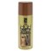 Salon Grafix High Beams Intense Temporary Spray Honey Blonde for Unisex 27 oz Hair Color
