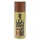Salon Grafix High Beams Intense Temporary Spray Honey Blonde for Unisex 27 oz Hair Color