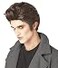 California Costumes Mens Love at First Bite WigBrownOne Size