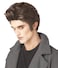 California Costumes Mens Love at First Bite WigBrownOne Size