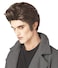 California Costumes Mens Love at First Bite WigBrownOne Size