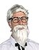 Rubies Southern Colonel Beard Wig Set for Adults Mens No Size