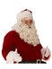 Rubies Santa Claus Premium Beard Wig Set for Adults Mens No Size