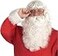 Rubies Santa Claus Deluxe Beard Wig Set for Adults Mens No Size