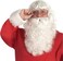 Rubies Santa Claus Deluxe Beard Wig Set for Adults Mens No Size
