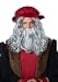 California Costumes CaliCo Renaissance Man Wig Beard Costume Wig Gray