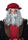 California Costumes CaliCo Renaissance Man Wig Beard Costume Wig Gray