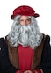 California Costumes CaliCo Renaissance Man Wig Beard Costume Wig Gray