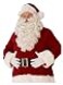 Rubies Costume Co Mens Ultra Premium Santa Beard and Wig