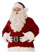 Rubies Costume Co Mens Ultra Premium Santa Beard and Wig