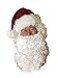Rubies Wig and Beard Adult Santa Set