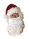 Rubies Wig and Beard Adult Santa Set