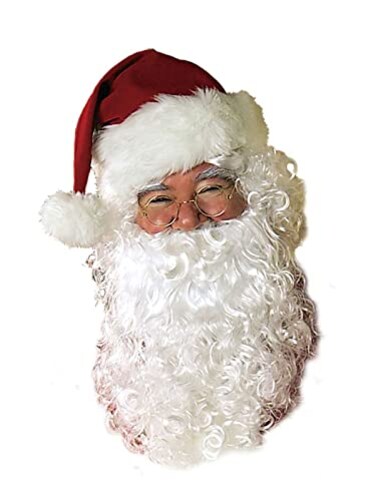 Rubies Wig and Beard Adult Santa Set
