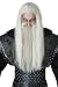 California Costumes Adult Dark Wizard Wig and Beard Set Standard Gray