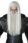 California Costumes Adult Dark Wizard Wig and Beard Set Standard Gray