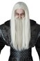 California Costumes Adult Dark Wizard Wig and Beard Set Standard Gray