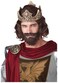 California Costumes Brown Medieval King Wig