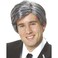 Costume Culture Mens Silver Fox Wig Grey One Size