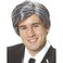 Costume Culture Mens Silver Fox Wig Grey One Size
