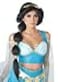 California Costumes Womens Desert Princess Wig Black