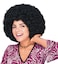 Rubies Afro Black Wig for Adults Unisex No Size