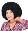 Rubies Afro Black Wig for Adults Unisex No Size