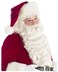 Costume Adventure Deluxe Santa Beard and Wig Set Santa Claus Beard and Wig Set with Velvet Red Storage Bag for Men One Size
