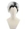 SpeedBeauty Mans Short Curly Silver Grey Boot Black Cosplay Wig Halloween Costume Wig