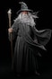 HOMELEX Grey Wizard Beard And Wig Halloween Funny Father Time Costume Accessory for Adults