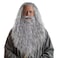 HOMELEX Grey Wizard Beard And Wig Halloween Funny Father Time Costume Accessory for Adults