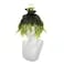 Tongtta Short Black and Green Gradient Cosplay Wigs Halloween Custume Curly Wig for Party