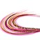 Feather Headz 21 Natural Hot Pink Color Hair Extensions 914 Long DIY Rooster Kit with 20 MicroLink Beads 100 Real Feathers EyeCatching Boho Style