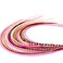 Feather Headz 21 Natural Hot Pink Color Hair Extensions 914 Long DIY Rooster Kit with 20 MicroLink Beads 100 Real Feathers EyeCatching Boho Style