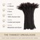 originea DAIXI 02cm 04cm 06cm 08cm Thickness 8 Inch 30 Strands 100 Real Human Hair Dreadlock Extensions for ManWomen Permanent Loc Extensions Bundles Can Be Dyed Bleached Curled and Twisted