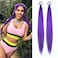 LyoRuSi 2 Pack Purple Ponytail Extension with Elastic Tie Straight Sleek Wrap Around Braid Ponytail 26 Inch Purple